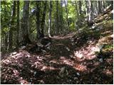 End of road on Vogar - Planina Viševnik